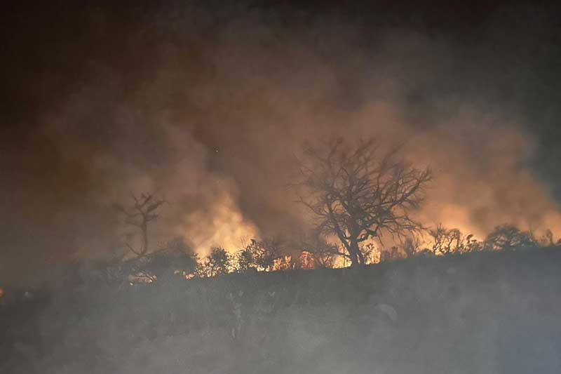 Articulação Veadeiros