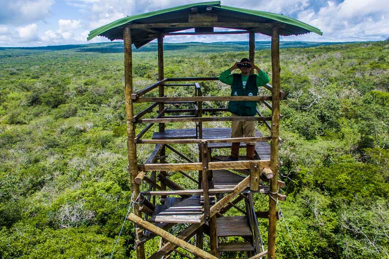 Ecoturismo e desenvolvimento na Caatinga