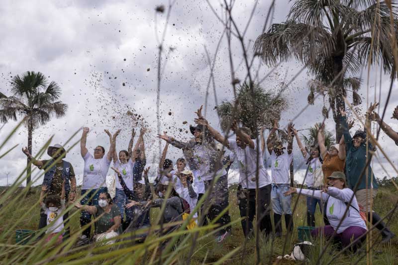 Plantando Caminhos da Água
