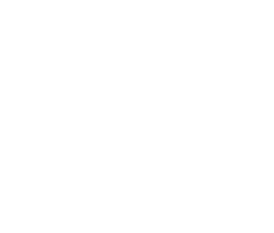 Decade-of-Indigenous-Languages-Logo_PT_V